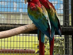 -北京野生动物园