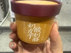 -白色日记·手作酸奶(麦凯乐店)