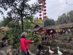 -青城甲(青城山店)