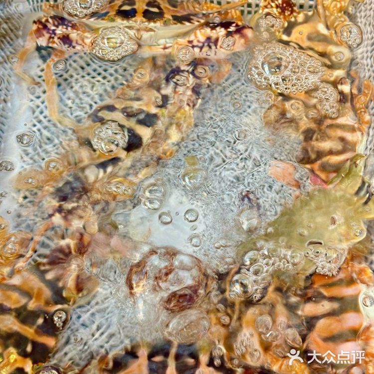 南澳岛｜这家海鲜大排档真的太好吃了！