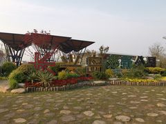 -上海长兴岛郊野公园