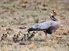 -中国湿地博物馆