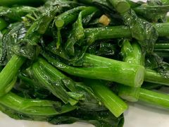 -渔鸽皇酒楼(鸿大广场店)