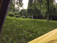 iphone_upload_pic-沈阳鸟岛