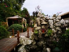 景观位-二荆条·蜀鲜汇城市森林火锅