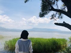 -大理洱源西湖景区