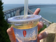 -星海湾跨海大桥