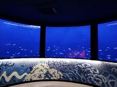 -沈阳海洋探索中心