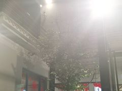 门面-鸽子窝(宋庄店)