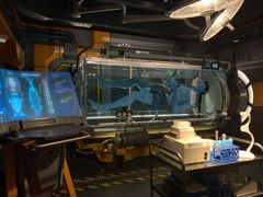 -奥兰多迪士尼动物王国乐园