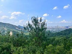 -灵岩山风景区