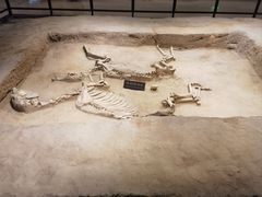 -洛阳周王城天子驾六博物馆