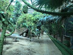 -呀路古热带植物园