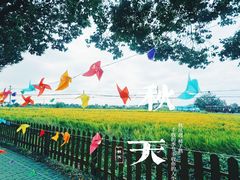 -小陆莲花蟹园农家乐(莲花岛店)