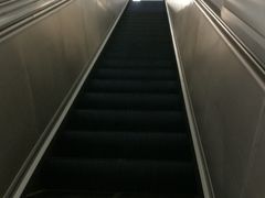 -园博园(地铁站)