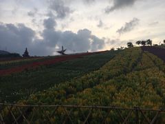 -深圳东部华侨城茵特拉根酒店