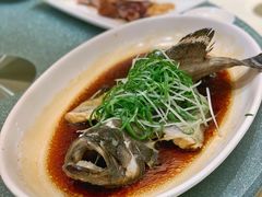 清蒸老虎斑-南海渔村(珠江新城店)