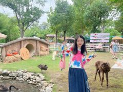 -HERRE·FARM 赫尔露营农场·团建聚会包场