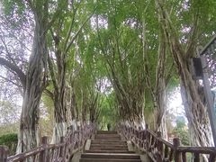 -丰都鬼城名山景区