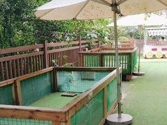 -熊猫自助餐厅.萌趣城堡(长隆熊猫酒店)
