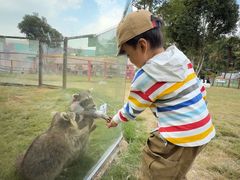 -杭州开元森泊度假乐园