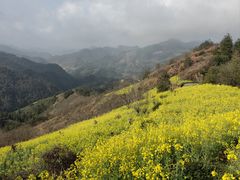 -石潭村