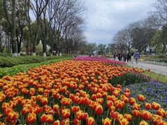 -玄武湖景区-情侣园游乐场