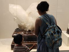 -安徽省地质博物馆