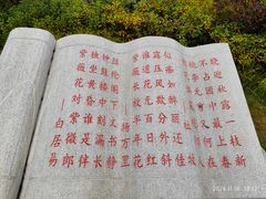 -牛头山森林公园