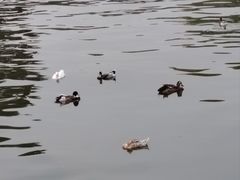 -迎泽公园