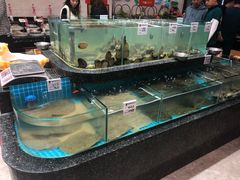 -渔码头食府·20年蓬莱老字号(登州路店)