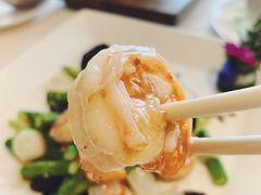 如意炒海花竹虾球-利苑酒家(合景国际金融广场店)