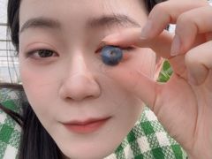 -森田蓝莓采摘园
