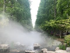 -东平国家森林公园