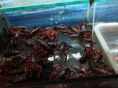 -酒城烤事(玉带龙庭店)