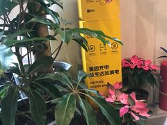 -Fridi Patisserie Cafe