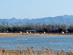 -野鸭湖国家湿地公园