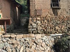 -杨家堂村