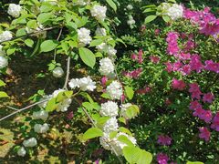 -雨花台烈士纪念馆