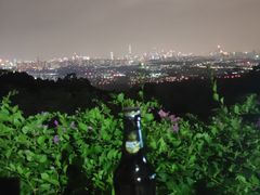 -火炉山森林公园