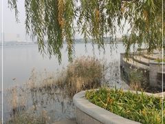 -天津金海湖