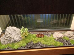 -大妙火锅·非物质文化遗产(东湖公园店)