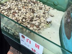 -明珠海港大酒店