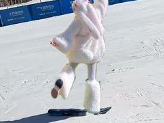 -东北亚滑雪场