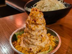 -大阪烧肉BAKA一代(十亩地店)