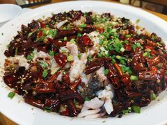 -三猫黑鱼花(南大店)