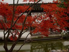 -秋霞圃