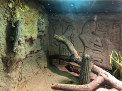 -皇家极地海洋世界-售票处