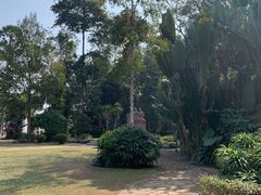 -中国科学院西双版纳热带植物园