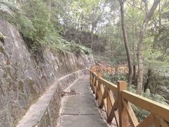 -广州市流溪河国家森林公园